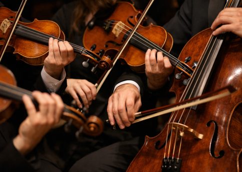 Chat GPT Image 12 feb 2026 16 20 34