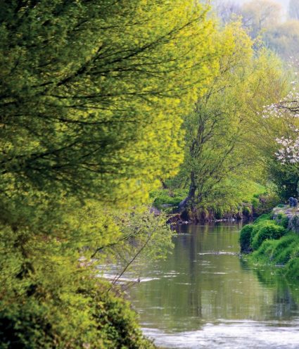 1 FCSS0308 1 Focuss22 Groot