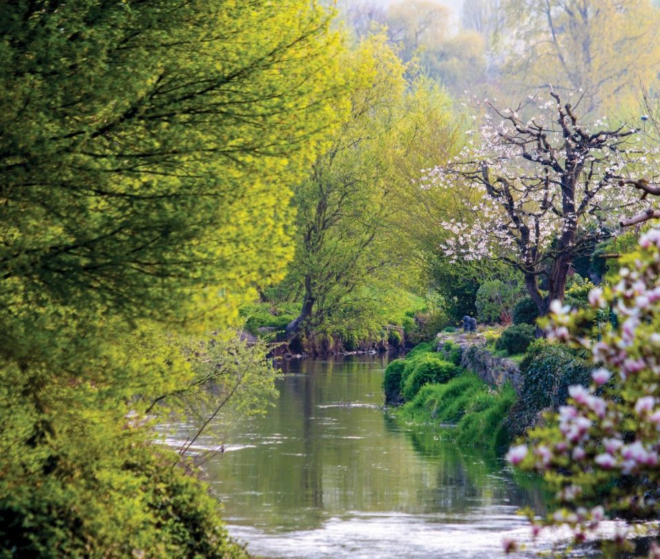 1 FCSS0308 1 Focuss22 Groot