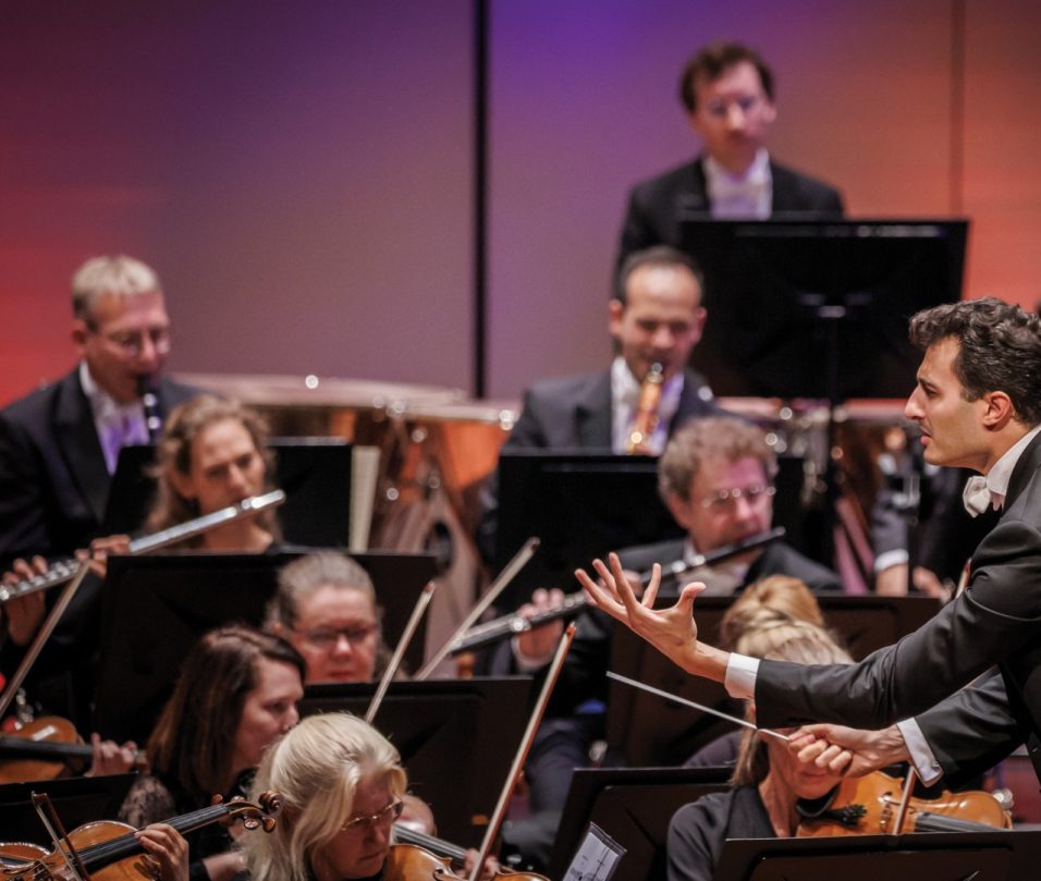 15 PHBB092 Focuss22 Groot